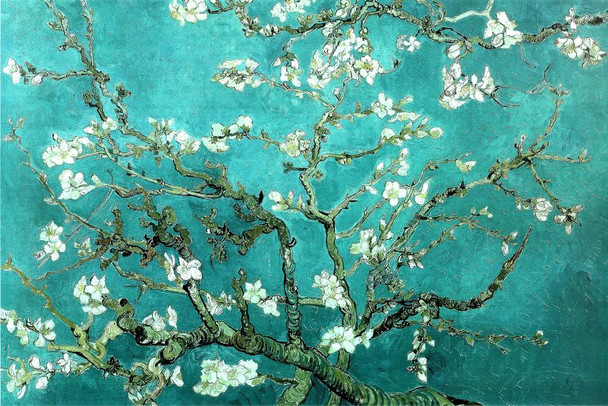 Vincent Van Gogh Almond Blossom Branches Impressionist Artist Painting Replica Poster For Dorm Room Kitchen Artistic Decor Gough Stretched Canvas Art Wall Decor 16x24