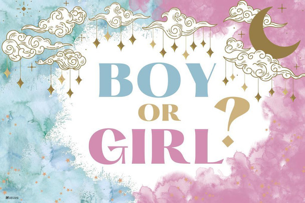 Gender Reveal Poster Boy or Girl Him or Her Baby Party Decorations Supply Supplies Little Star Stuff Blue Pink Cute Design Ideas Photo Picture Welcome Banner Thick Paper Sign Print Picture 8x12