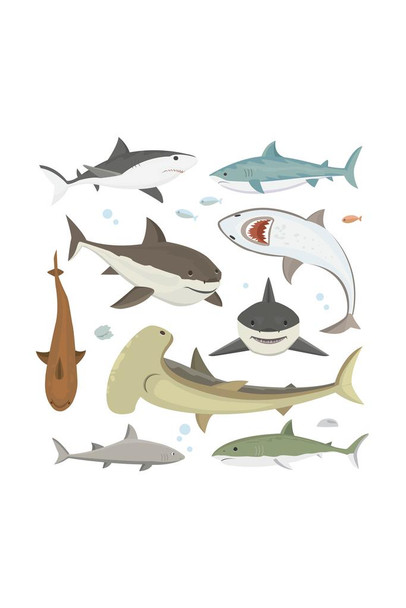 Shark Swimming Collage Illustration Shark Posters For Walls Shark Pictures Cool Sharks Of The World Poster Shark Wall Decor Ocean Poster Wildlife Art Print Cool Wall Decor Art Print Poster 24x36