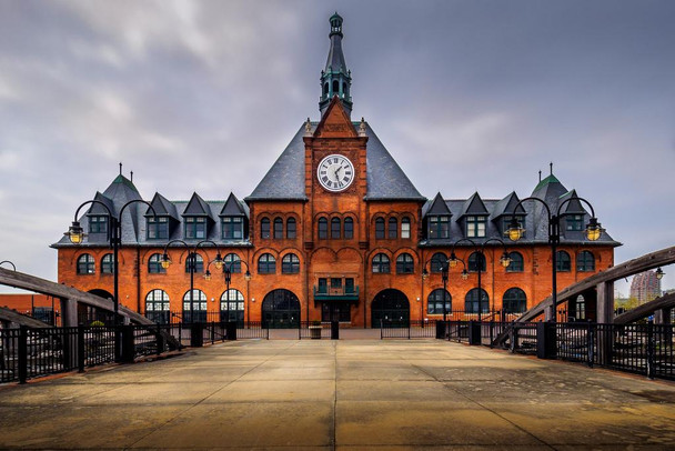 Laminated Immigration overload Ellis Island Poster Dry Erase Wall Art 24x36