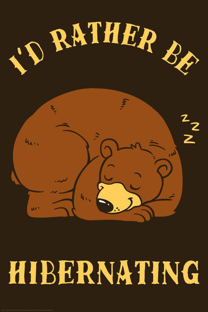 Id Rather Be Hibernating Sleeping Bear Funny Parody LCT Creative Cool Wall Decor Art Print Poster 24x36