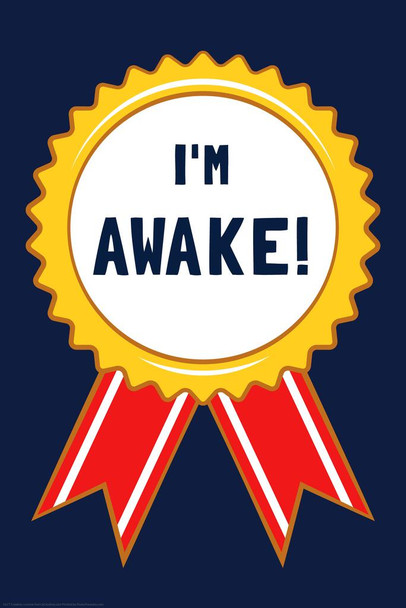 Im Awake Medal Badge Funny Parody LCT Creative Cool Wall Decor Art Print Poster 24x36