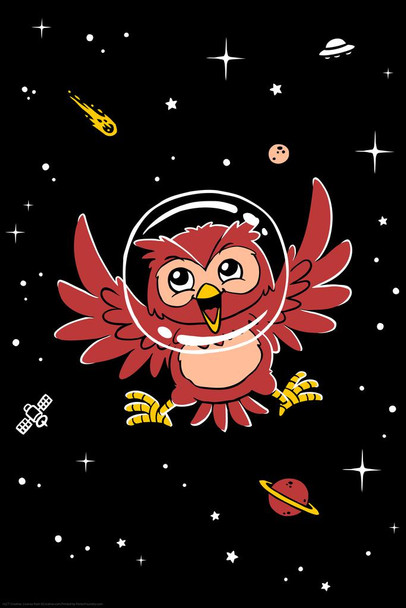 Laminated Space Owl Astronaut Funny Bird Pictures Wall Decor Beautiful Art Wall Decor Outer Space Feather Prints Wall Art Nature Wildlife Animal Bird Prints Poster Dry Erase Wall Art 24x36