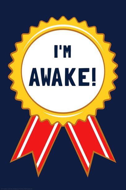 Im Awake Medal Badge Funny Parody LCT Creative Cool Huge Large Giant Poster Art 36x54