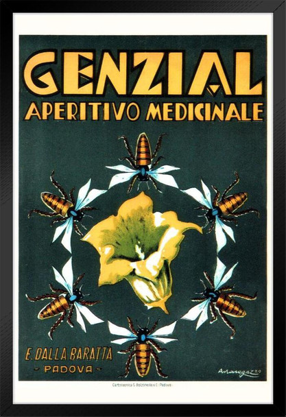 Genzial Aperitivo Medicinal Plant Vintage Illustration Art Deco Vintage French Wall Art Nouveau 1920 French Advertising Vintage Poster Prints Art Nouveau Decor Black Wood Framed Poster 14x20