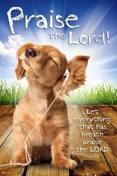 Puppy Praise Lord Inspirational Quote Kids Room Decoration Stretched Canvas Art Wall Decor 16x24