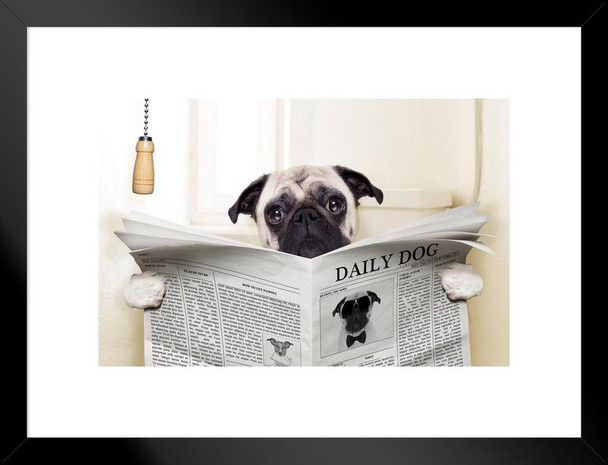 Dog Toilet Art Puppy Posters For Wall Funny Dog Wall Art Dog Wall Decor Puppy Posters For Kids Bedroom Animal Wall Poster Cute Animal Posters Matted Framed Wall Decor Art Print 20x26