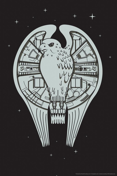 Fastest Falcon In The Universe Movie Parody Humor Cool Wall Art Print Poster 24x36