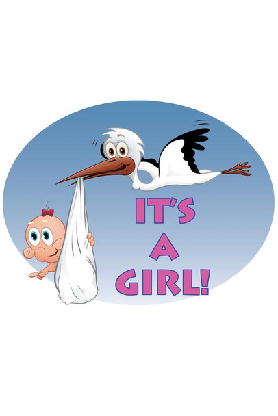 It's A Boy Stork Baby Announcement Gender Reveal Cool Wall Decor Art Print Poster 16x24