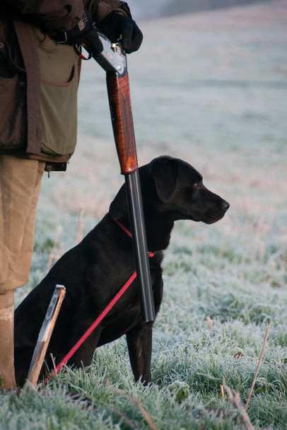 On the Hunt Bird Hunter with Black Lab Dog Posters For Wall Funny Dog Wall Art Dog Wall Decor Dog Posters For Kids Bedroom Animal Wall Poster Cute Animal Posters Cool Wall Decor Art Print Poster 24x36