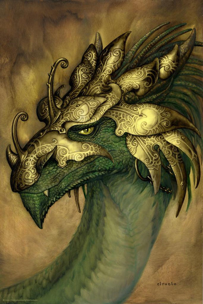 Laminated Rey Vultan Dragon by Ciruelo Fantasy Painting Gustavo Cabral Poster Dry Erase Sign 12x18