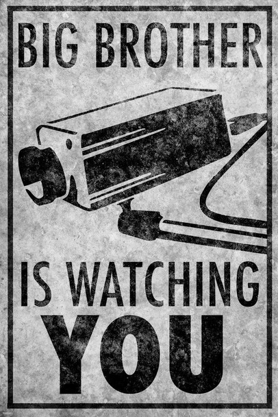 Laminated Big Brother Is Watching You CCTV Camera Sign Poster Dry Erase Sign 12x18