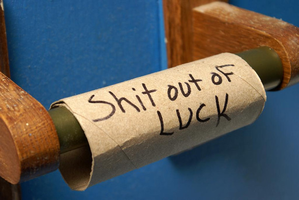 Laminated Just My Luck Poster Dry Erase Sign 16x24