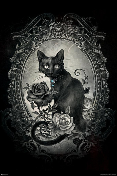 Laminated Alchemy Paracelsus Black Cat Gothic Goth Room Decor Skull Horror Witchy Witchcraft Wiccan Decorations Poster Dry Erase Sign 12x18