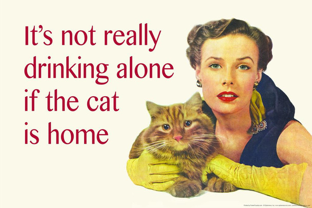 Laminated Its Not Really Drinking Alone If the Cat is Home Funny Parody Drinking Humor Wine Beer Cat Lady Quote Poster Dry Erase Sign 24x16