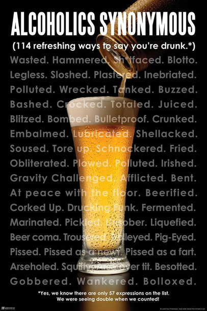 Alcoholics Synonymous 114 Ways To Say You're Drunk Funny Drinking Partying College Dorm Room Cool Wall Decor Art Print Poster 16x24