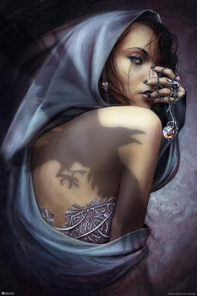 Laminated Alchemy Shadow Raven Gothic Goth Room Decor Tattoo Ink Witchy Witchcraft Crystals Decoration Poster Dry Erase Wall Art 12x18