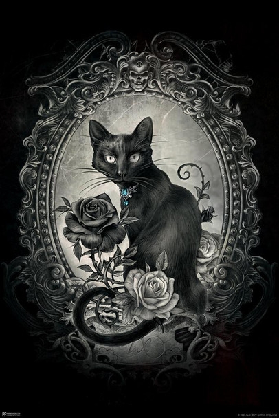 Laminated Alchemy Paracelsus Black Cat Gothic Goth Room Decor Skull Horror Witchy Witchcraft Wiccan Decorations Poster Dry Erase Sign 24x36