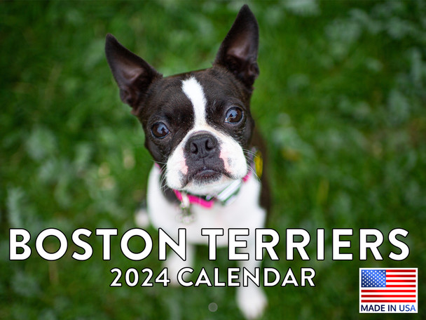 Boston Terrier Calendar 2024 Wall Calander Monthly Boston Terrier Gifts 12 Month