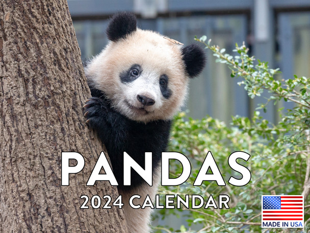 Panda Calendar 2024 Monthly Wall Calender Panda Gifts 12 Month
