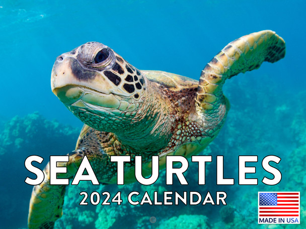 Sea Turtles Calendar 2024 Turtle Monthly Wall Calender 12 Month