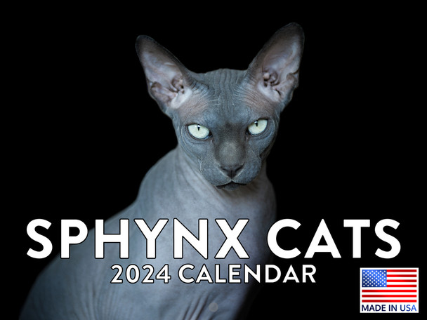 Sphynx Cat Calendar 2024 hairless Cat Wall Calander Monthly 12 Month
