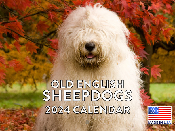 Old English Sheepdog Calendar 2024 Monthly Wall Calender