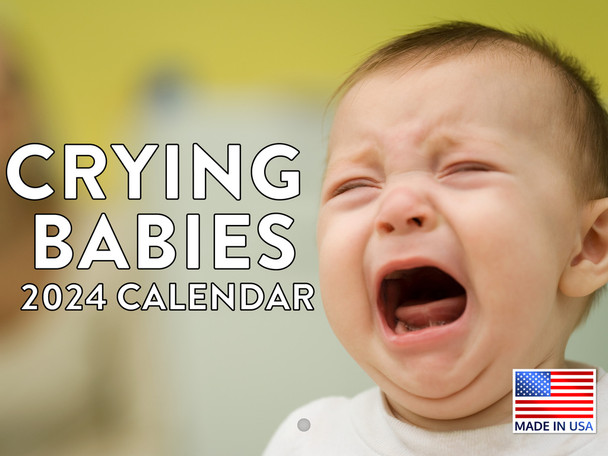 Baby Funny Gag Gift Calendar 2024 Monthly Wall Calender