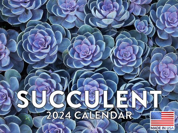 Succulent Calendar 2024 Monthly Wall Calender