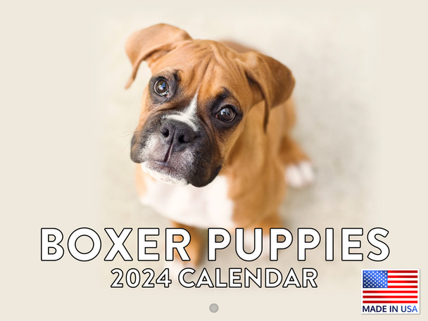 Boxer Puppy Calendar 2024 Wall Monthly Cute Puppies 12 Month