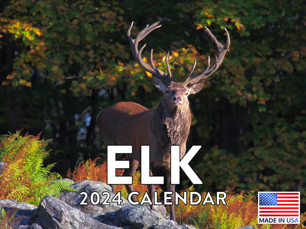 Elk Calendar 2024 Wall Calander Monthly