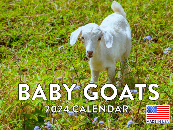 Baby Goat Calendar 2024 Wall Calander Monthly 12 Month