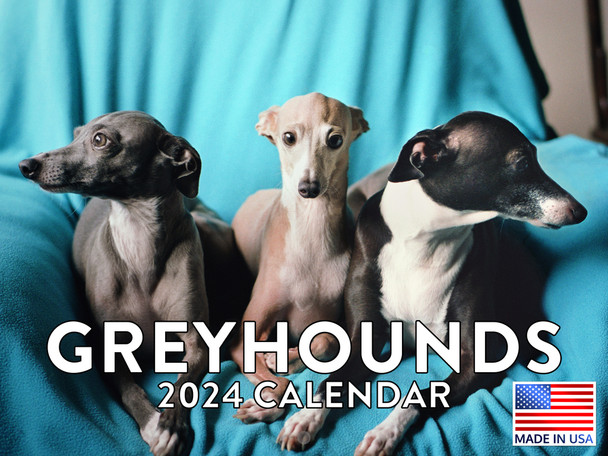 Greyhound Calendar 2024 Monthly Wall Calender