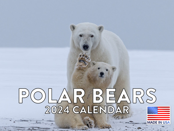 Polar Bear Calendar 2024 Monthly Wall Calender