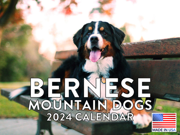 Bernese Mountain Dog 2024 Calendar Monthly Wall Calander 12 Month