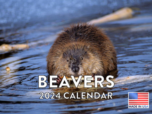 Beaver Calendar 2024 Monthly Wall Calender
