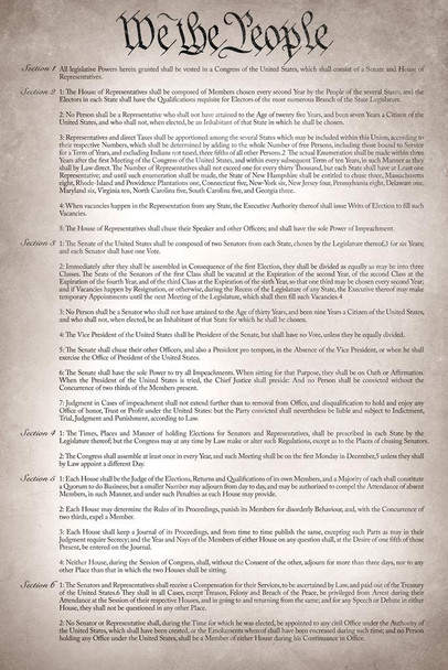Constitution of The United States America Historical Document Remastered Readable Version US History Classroom Teacher Educational American Government Cool Wall Decor Art Print Poster 16x24