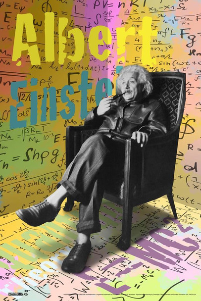 Laminated Albert Einstein Pop Poster Dry Erase Sign 12x18