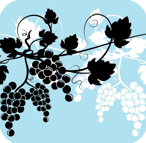 Grapes And Wine Pattern In Light Blue Black And Black V2 Premium Drink Coaster Resin With Cork Backing