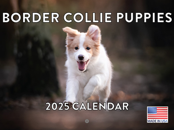 Border Collie Puppy 2025 Calendar | American Made In The USA