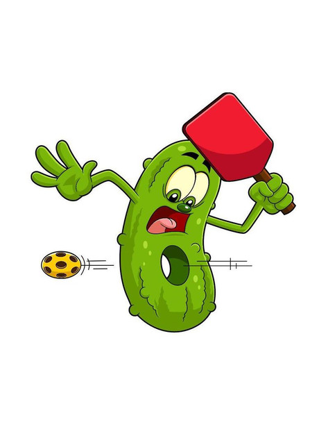 SET OF 3 - Pickleball Pickle Hit By Ball Funny Box of 10 Blank Note Cards 4x5