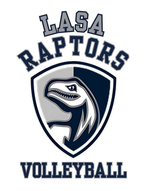 SET OF 3 - CUSTOM LASA Raptors Volleyball Box of 10 Blank Note Cards 4x5