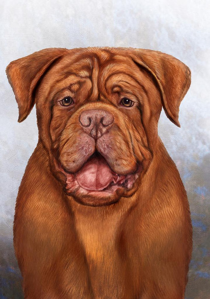 SET OF 3 - Douge De Bordeaux Dog by Tamara Burnett Box of 10 Blank Note Cards 4x5