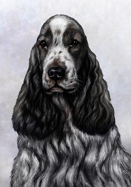 SET OF 3 - English Cocker Spaniel Dog by Tamara Burnett Box of 10 Blank Note Cards 4x5