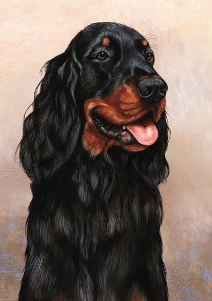 SET OF 3 - Gordon Setter Dog by Tamara Burnett Box of 10 Blank Note Cards 4x5