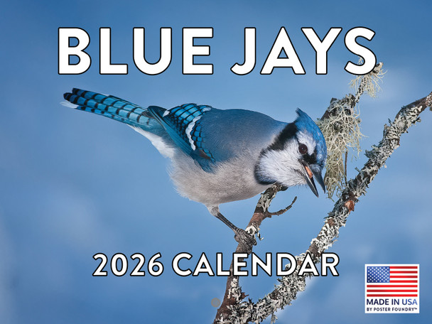 Blue Jay Calendar 2026 Wall Monthly Blue Jays Gifts For Blue Jay Lovers Women Men | American Made In The USA