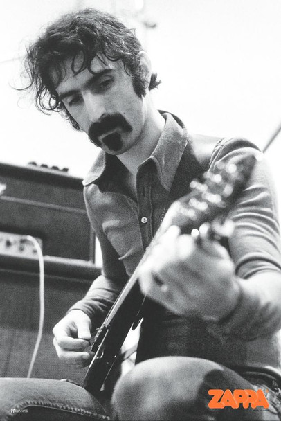 Frank Zappa Guitar Cool Wall Art Print Poster 24x36