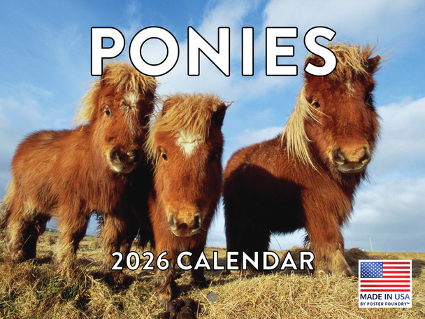 Pony Calendar 2026 Ponies Monthly Wall | American Made In The USA