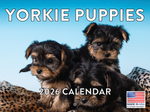 Yorkie Puppy Calendar 2026 Yorkshire Terrier Monthly Wall Calender 12 Month | American Made In The USA