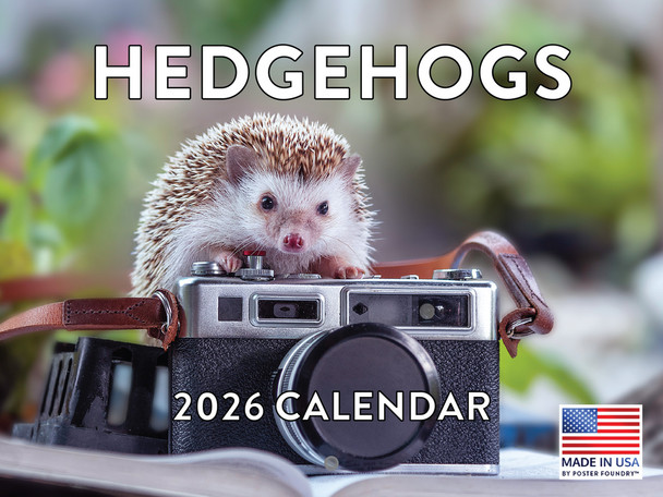 Hedgehog Calendar 2026 Monthly Wall Calender 12 Month | American Made In The USA